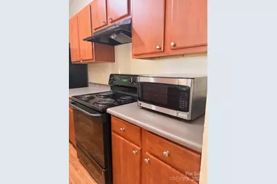 700 Vista Lake Drive #004, Candler, NC 28715 - Photo 6