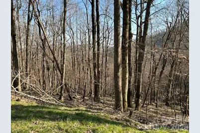 0000 Trillium Lane, Mars Hill, NC 28754 - Photo 4