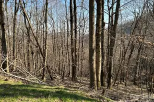 0000 Trillium Ln, Mars Hill, NC 28754 - Photo 4