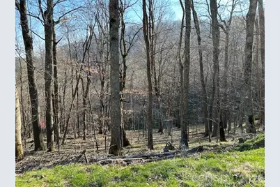 0000 Trillium Lane, Mars Hill, NC 28754 - Photo 2