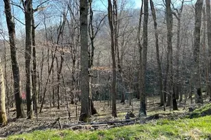 0000 Trillium Ln, Mars Hill, NC 28754 - Photo 2