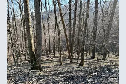 0000 Trillium Lane, Mars Hill, NC 28754 - Photo 1
