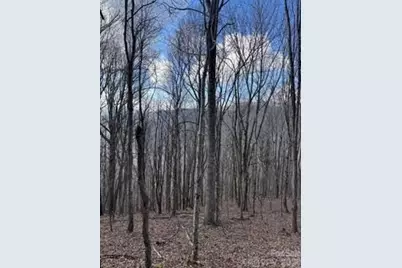 00 Mule Stomp Road, Clyde, NC 28721 - Photo 12