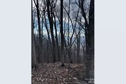 00 Mule Stomp Road, Clyde, NC 28721 - Photo 16