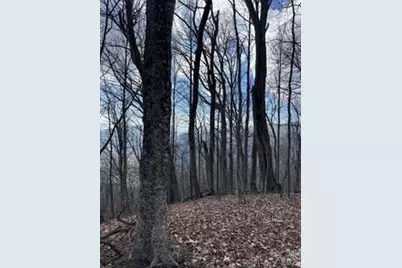 00 Mule Stomp Road, Clyde, NC 28721 - Photo 14