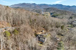 29 Shady Pines Dr, Asheville, NC 28805 - Photo 36