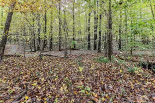 8004 Penman Springs Drive, Waxhaw, NC 28173 - Photo 44