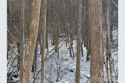 00000 Martins Creek Road, Barnardsville, NC 28709 - Photo 2