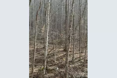 00000 Martins Creek Road, Barnardsville, NC 28709 - Photo 4