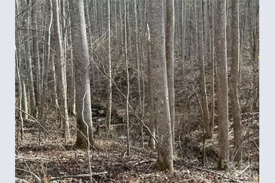 00000 Martins Creek Road, Barnardsville, NC 28709 - Photo 1