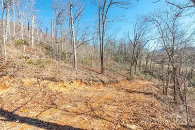 107 Bartram Way, Black Mountain, NC 28711 - Photo 4