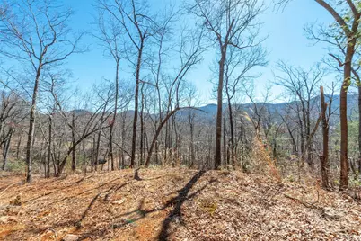 107 Bartram Way, Black Mountain, NC 28711 - Photo 6