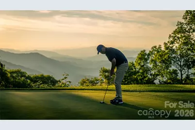 346 Birdymay Drive, Tuckasegee, NC 28783 - Photo 42