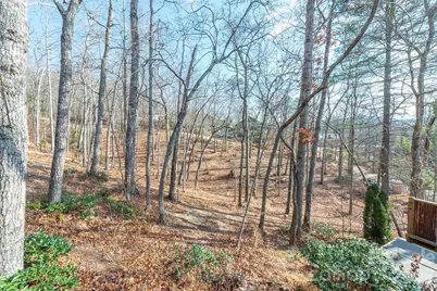 115 Bartram Way, Black Mountain, NC 28711 - Photo 44