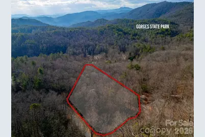 Lot 48 Fox Den Road, Brevard, NC 28712 - Photo 1