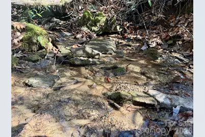 Lot 48 Fox Den Road, Brevard, NC 28712 - Photo 6