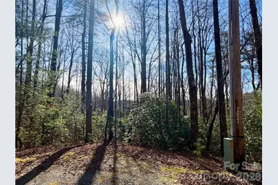 Lot 48 Fox Den Road, Brevard, NC 28712 - Photo 10