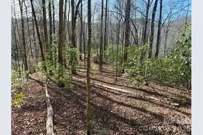 Lot 48 Fox Den Road, Brevard, NC 28712 - Photo 2