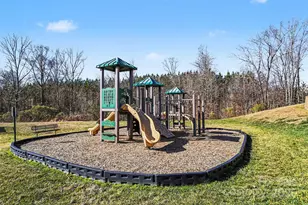 420 Triple Branch Trail, Fort Mill, SC 29715 - Photo 30