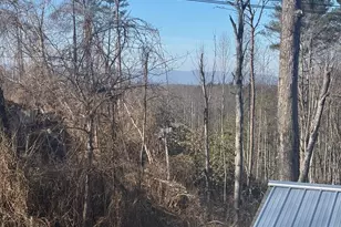 905 Hutch Mountain Rd, Fletcher, NC 28732 - Photo 6