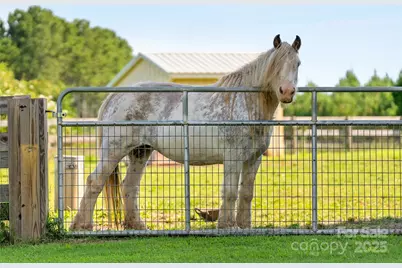 150 Rabbit Moffitt Road, Rutherfordton, NC 28139 - Photo 40
