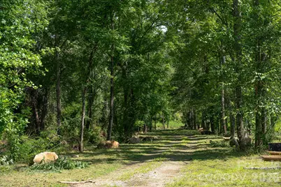 413 Big Hill Drive #85, Arden, NC 28704 - Photo 16