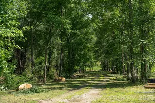 413 Big Hl Dr, Arden, NC 28704 - Photo 16