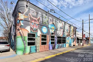 2718 N Davidson St, Charlotte, NC 28205 - Photo 44