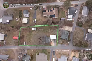 16 Sycamore St, Asheville, NC 28804 - Photo 38