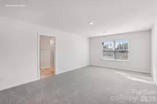 536 Dazzle Loop, Newton, NC 28658 - Photo 22