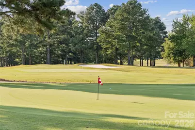 339 Alameda Way, Matthews, NC 28104 - Photo 42