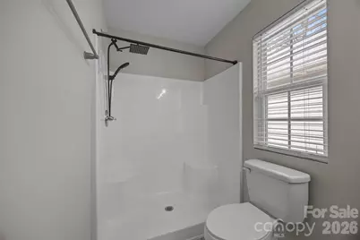 115 Lookout Point Place, Mooresville, NC 28115 - Photo 20