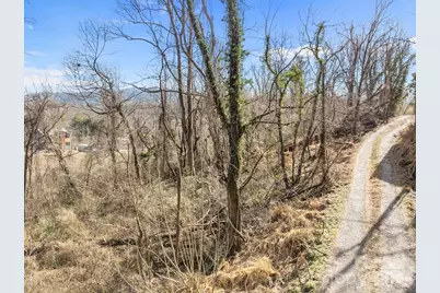 99999 Weaver Hill Road, Asheville, NC 28805 - Photo 6