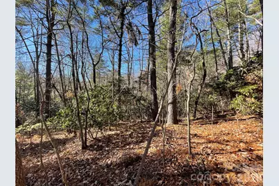 000 Didrikson Way #244, Hendersonville, NC 28739 - Photo 10