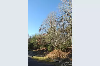 000 Didrikson Way #244, Hendersonville, NC 28739 - Photo 14