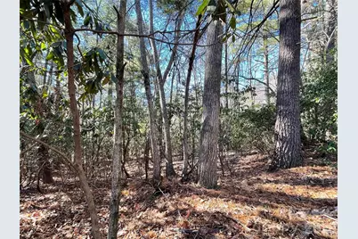 000 Didrikson Way #244, Hendersonville, NC 28739 - Photo 8