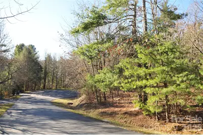 000 Didrikson Way #244, Hendersonville, NC 28739 - Photo 2