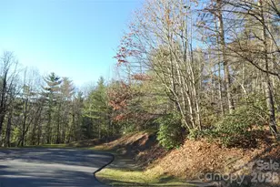 000 Didrikson Way, Hendersonville, NC 28739 - Photo 1