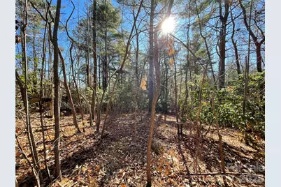 000 Didrikson Way #244, Hendersonville, NC 28739 - Photo 12