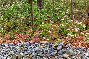 1413 Golf Course Rd, Old Fort, NC 28762 - Photo 6