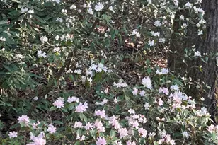 1413 Golf Course Rd, Old Fort, NC 28762 - Photo 48