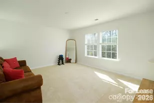 10745 Sapphire Trail, Davidson, NC 28036 - Photo 20