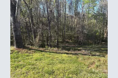 241 Loch Stone Street, Fort Mill, SC 29715 - Photo 42