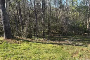 241 Loch Stone St, Fort Mill, SC 29715 - Photo 44