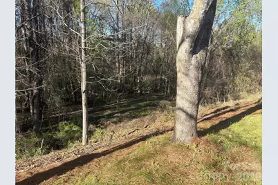 241 Loch Stone Street, Fort Mill, SC 29715 - Photo 46