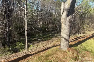 241 Loch Stone St, Fort Mill, SC 29715 - Photo 46