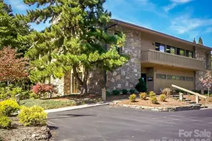 205 Wild Oak Ln, Hendersonville, NC 28791 - Photo 38