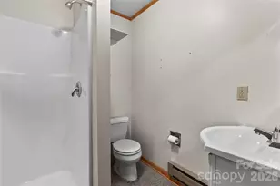 154 Wilson Dr, Canton, NC 28716 - Photo 28