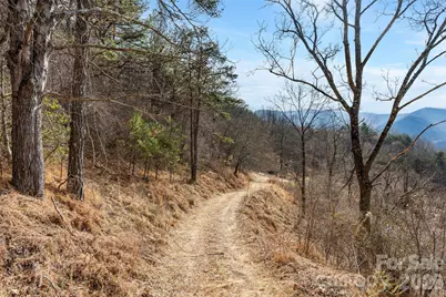 999 Wilson Drive, Canton, NC 28716 - Photo 22