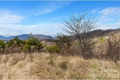 999 Wilson Drive, Canton, NC 28716 - Photo 34